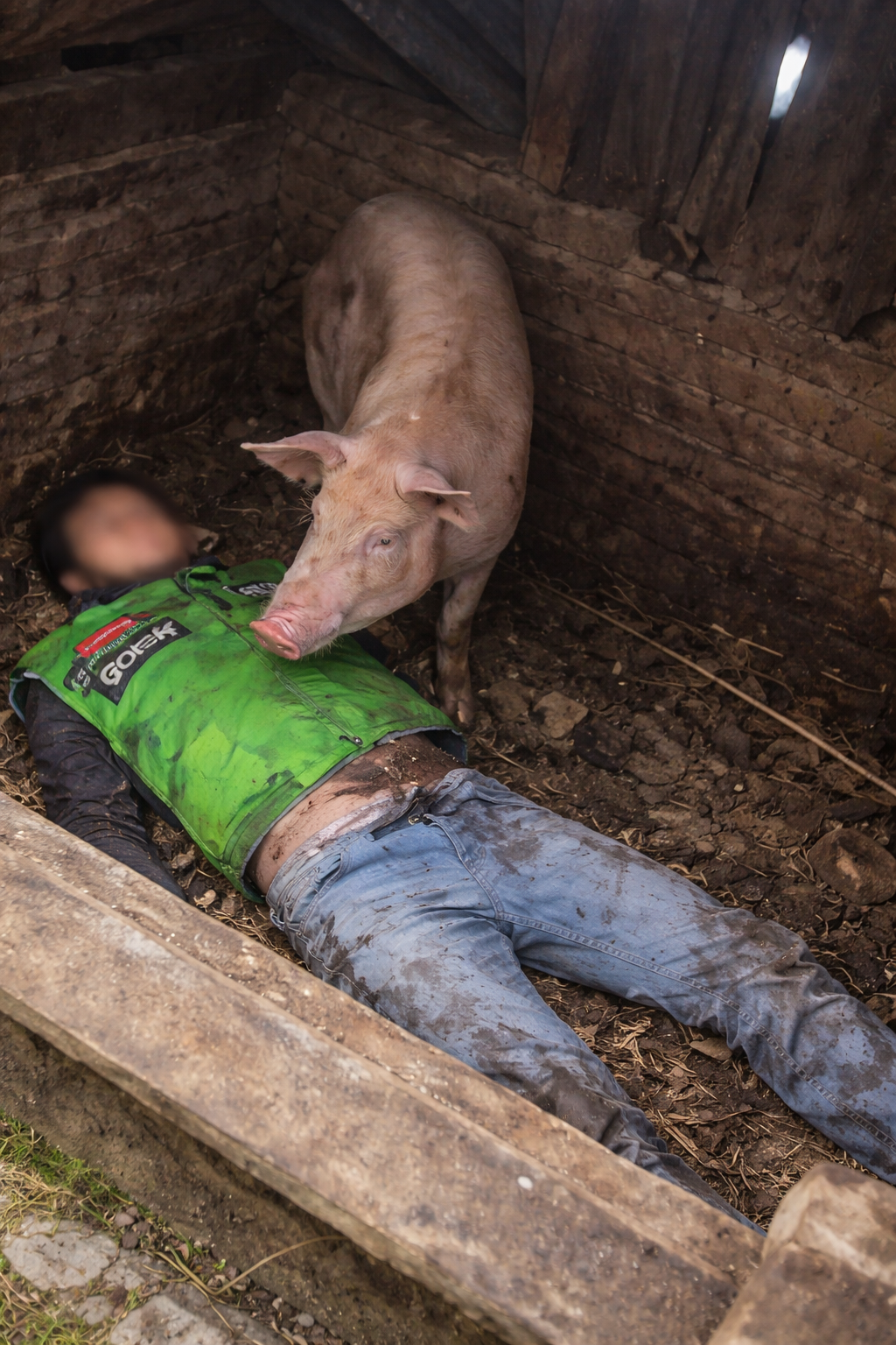 Tragedi Maut di Perlintasan Mandala: Driver Ojol Tewas Terpental ke Kandang Warga Usai Dihantam Kereta Api