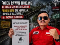 Pohon Rawan Tumbang di Jalan STM Medan Johor Tak Kunjung Ditangani, Warga Cemas Jadi Korban
